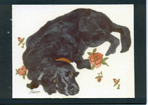 Original Black Lab Art Cards