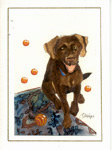 Chocolate Lab original Art Cards