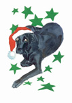 Black Lab Christmas Card